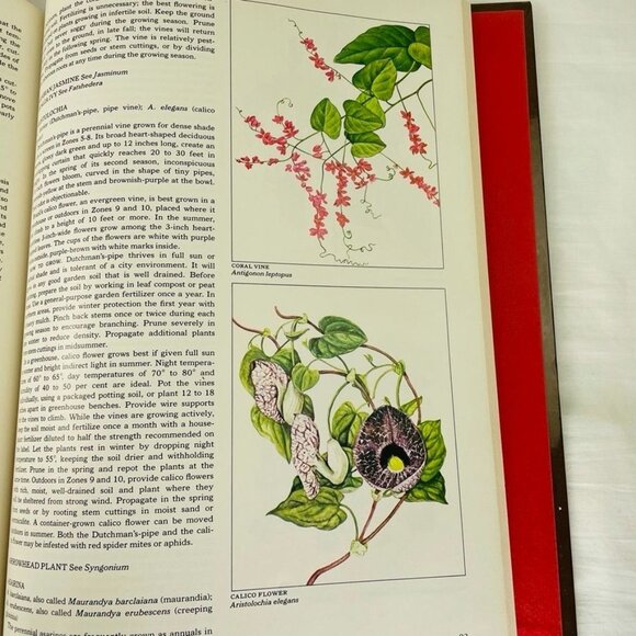 How to Grow Vines Vintage Time Life Gardening Books Encyclopedia u 1981 Hardcove - Picture 7 of 8